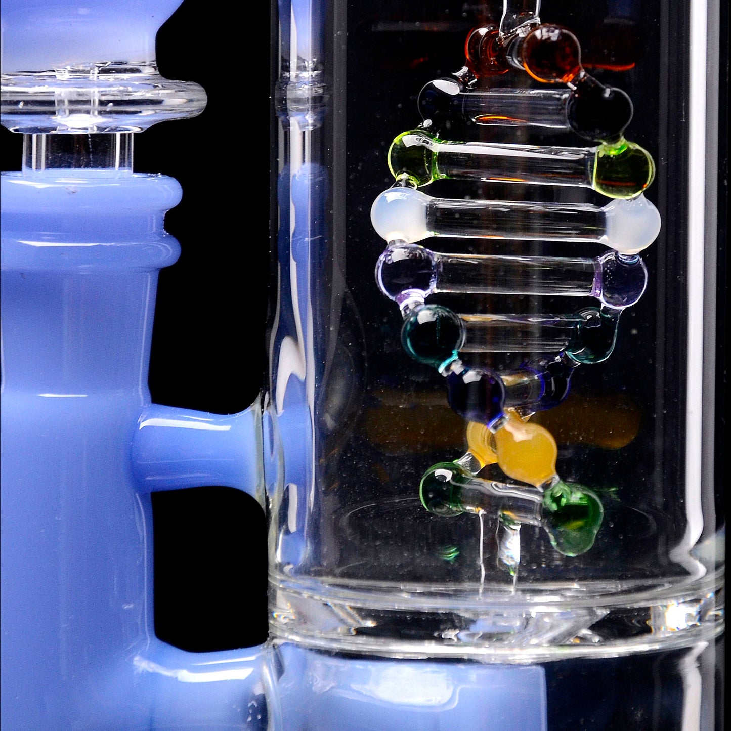 Calibear DNA Seed Of Life Dab Rig